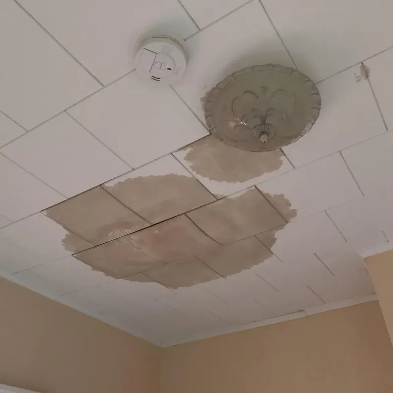 Ceiling Water Damage Repair in Valley Station, KY